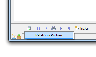 Imprimir o relatório padrão com modelo Word: · Exemplo da exibição do “Relatório Padrão”: